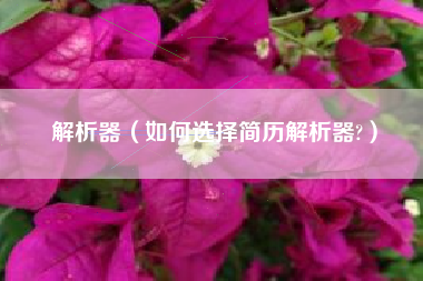 解析器（如何选择简历解析器?）