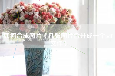 如何合成图片（几张图片合并成一个pdf文件）