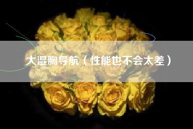 大湿胸导航（性能也不会太差）