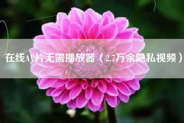 在线AV片无需播放器(2.7万余隐私视频)