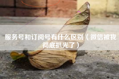 服务号和订阅号有什么区别（微信被我彻底扒光了）