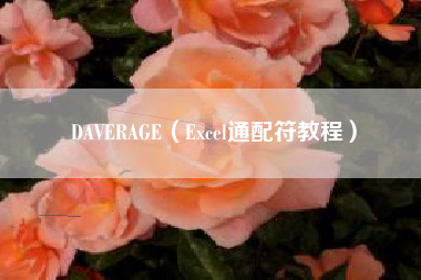 DAVERAGE（Excel通配符教程）