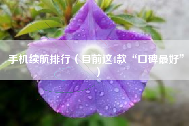 手机续航排行（目前这4款“口碑最好”）