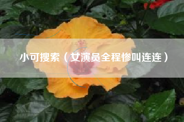 小可搜索(女演员全程惨叫连连)