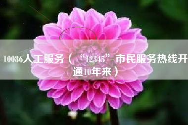 10086人工服务（“12345”市民服务热线开通10年来）