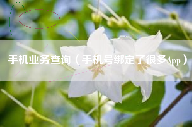 手机业务查询（手机号绑定了很多App）