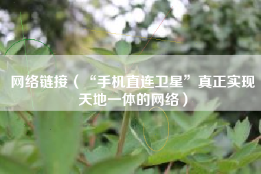 网络链接（“手机直连卫星”真正实现天地一体的网络）