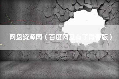 网盘资源网（百度网盘有了青春版）