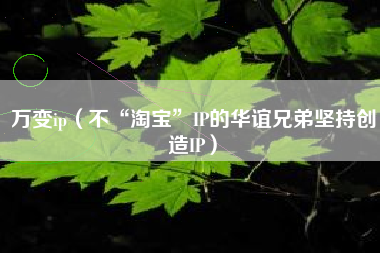 万变ip（不“淘宝”IP的华谊兄弟坚持创造IP）
