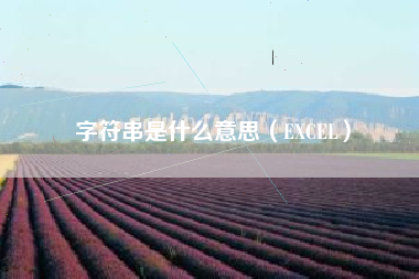 字符串是什么意思（EXCEL）