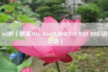 ax201（微星MAG B660M MORTAR WIFI DDR4迫击炮）