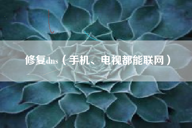 修复dns（手机、电视都能联网）
