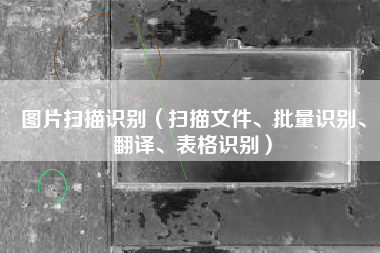 图片扫描识别(扫描文件、批量识别、翻译、表格识别)