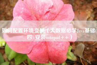 如何配置环境变量（大数据必学Java基础(四):安装notepad++）