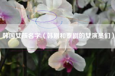 韩国女孩名字(韩剧和泰剧的女演员们)