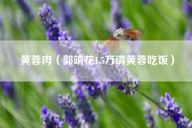 黄蓉肉(郭靖花1.5万请黄蓉吃饭)