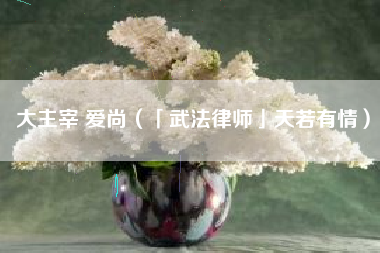 大主宰 爱尚(「武法律师」天若有情)