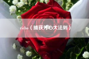 richo（捕获芳心大法则）