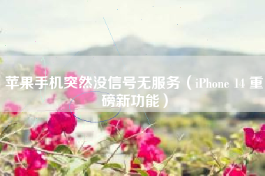 苹果手机突然没信号无服务（iPhone 14 重磅新功能）