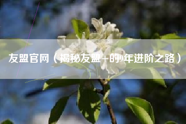 友盟官网(揭秘友盟+的9年进阶之路)
