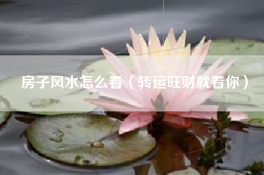房子风水怎么看（转运旺财就看你）