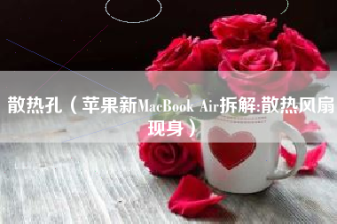 散热孔（苹果新MacBook Air拆解:散热风扇现身）