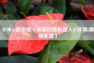 小米3c路由器(米家扫拖机器人3C评测:旗舰配置)