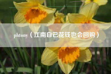 详细阅读:phtony(江南自己花钱也会回购) phtony(江南自己花钱也会回购)