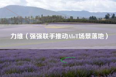 力维(强强联手推动AIoT场景落地)