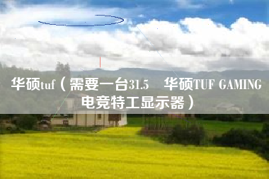 华硕tuf（需要一台31.5吋华硕TUF GAMING电竞特工显示器）