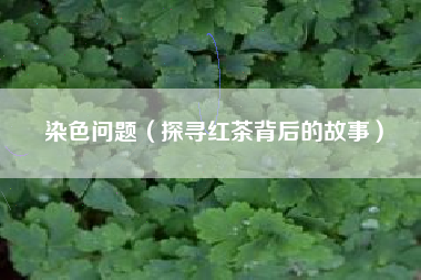 染色问题(探寻红茶背后的故事)