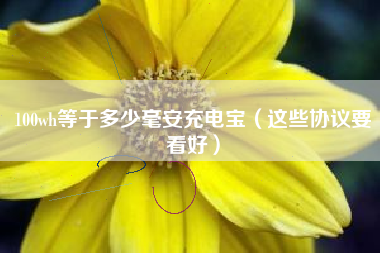 100wh等于多少毫安充电宝（这些协议要看好）