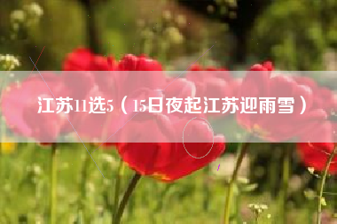 江苏11选5(15日夜起江苏迎雨雪)