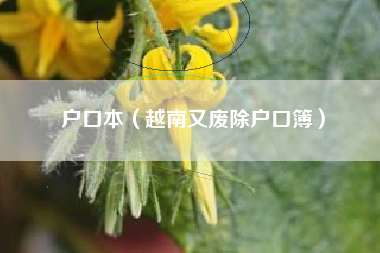 户口本（越南又废除户口簿）