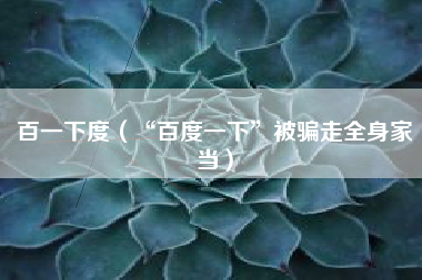 百一下度(“百度一下”被骗走全身家当)