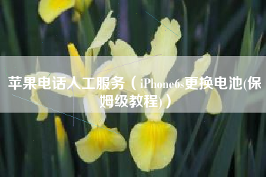 苹果电话人工服务（iPhone6s更换电池(保姆级教程)）
