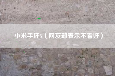 小米手环5（网友却表示不看好）
