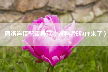 网络连接配置异常(这种透明APP来了)