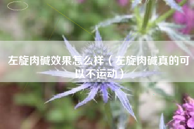 详细阅读:左旋肉碱效果怎么样(左旋肉碱真的可以不运动) 左旋肉碱效果怎么样(左旋肉碱真的可以不运动)