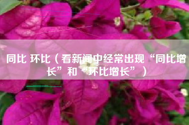 同比 环比（看新闻中经常出现“同比增长”和“环比增长”）