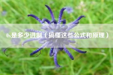 0x是多少进制（搞懂这些公式和原理）