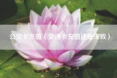 公交卡充值（交通卡充值还是失败）