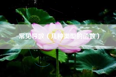 常见导数（几种类型的函数）
