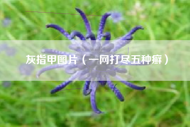 灰指甲图片(一网打尽五种癣)