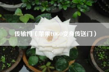 传输门（苹果LOGO变身传送门）