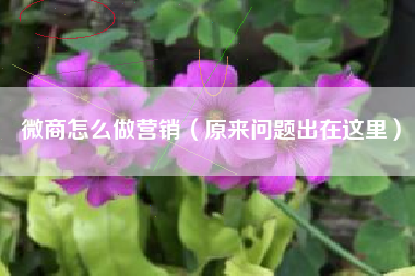 微商怎么做营销（原来问题出在这里）