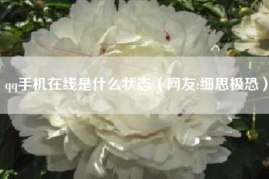 qq手机在线是什么状态（网友:细思极恐）