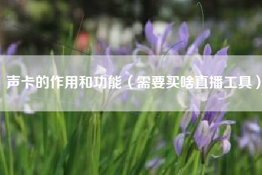 声卡的作用和功能（需要买啥直播工具）