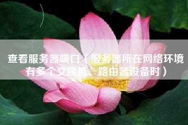 查看服务器端口（服务器所在网络环境有多个交换机、路由器设备时）