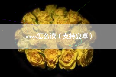 ansys怎么读（支持安卓）
